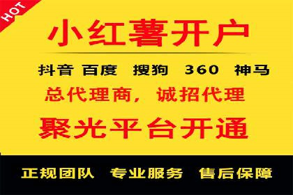 优化SEM广告投放：成功案例分享
